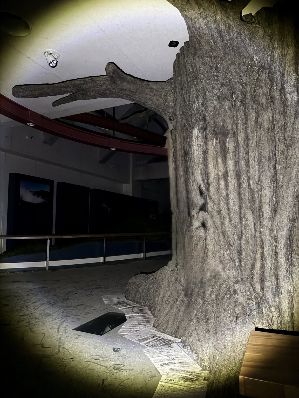 グリム童話のような、森の博物館 2