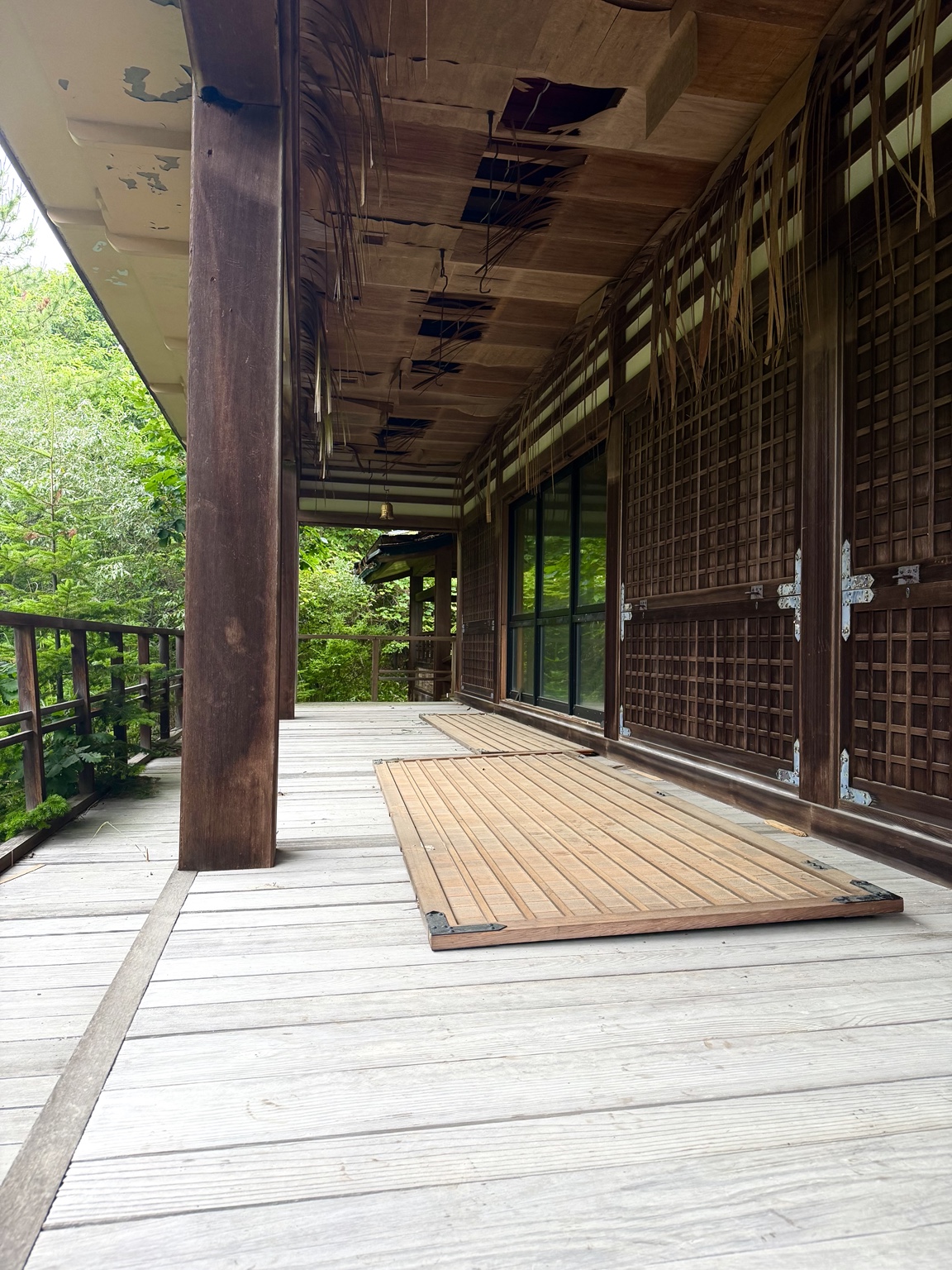 山奥の薮深き廃寺。 4