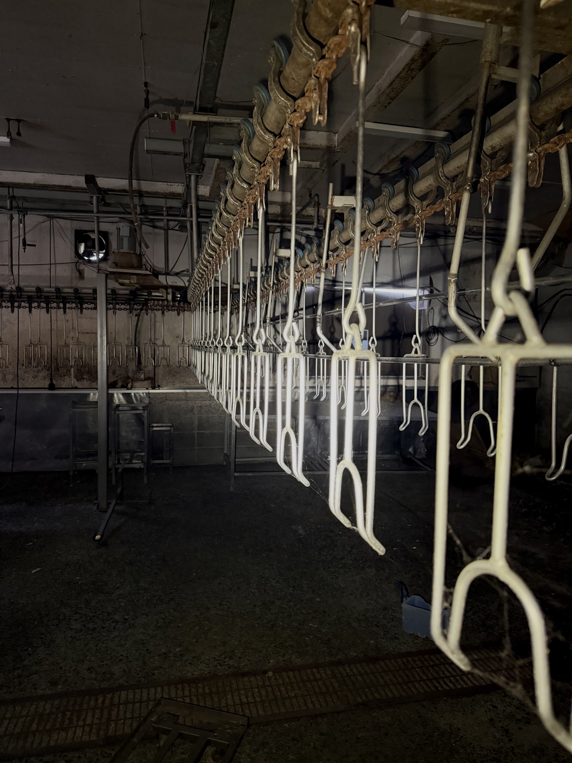 放置された食鳥処理場 4