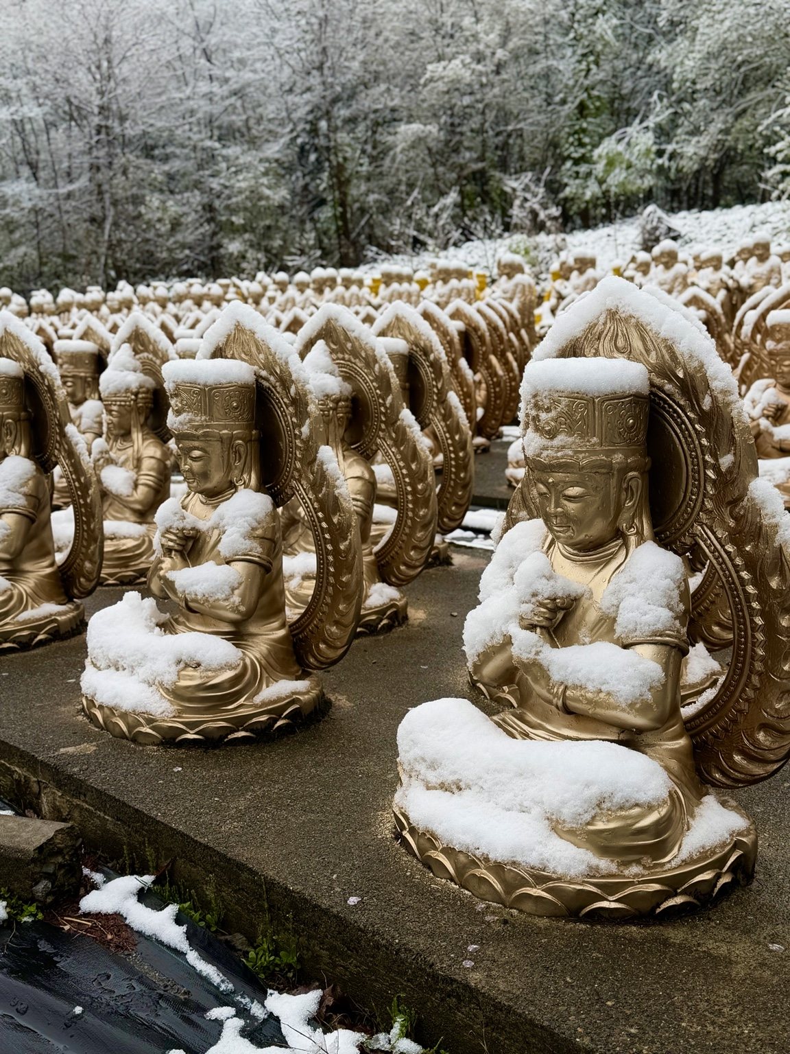 雪の千体観音